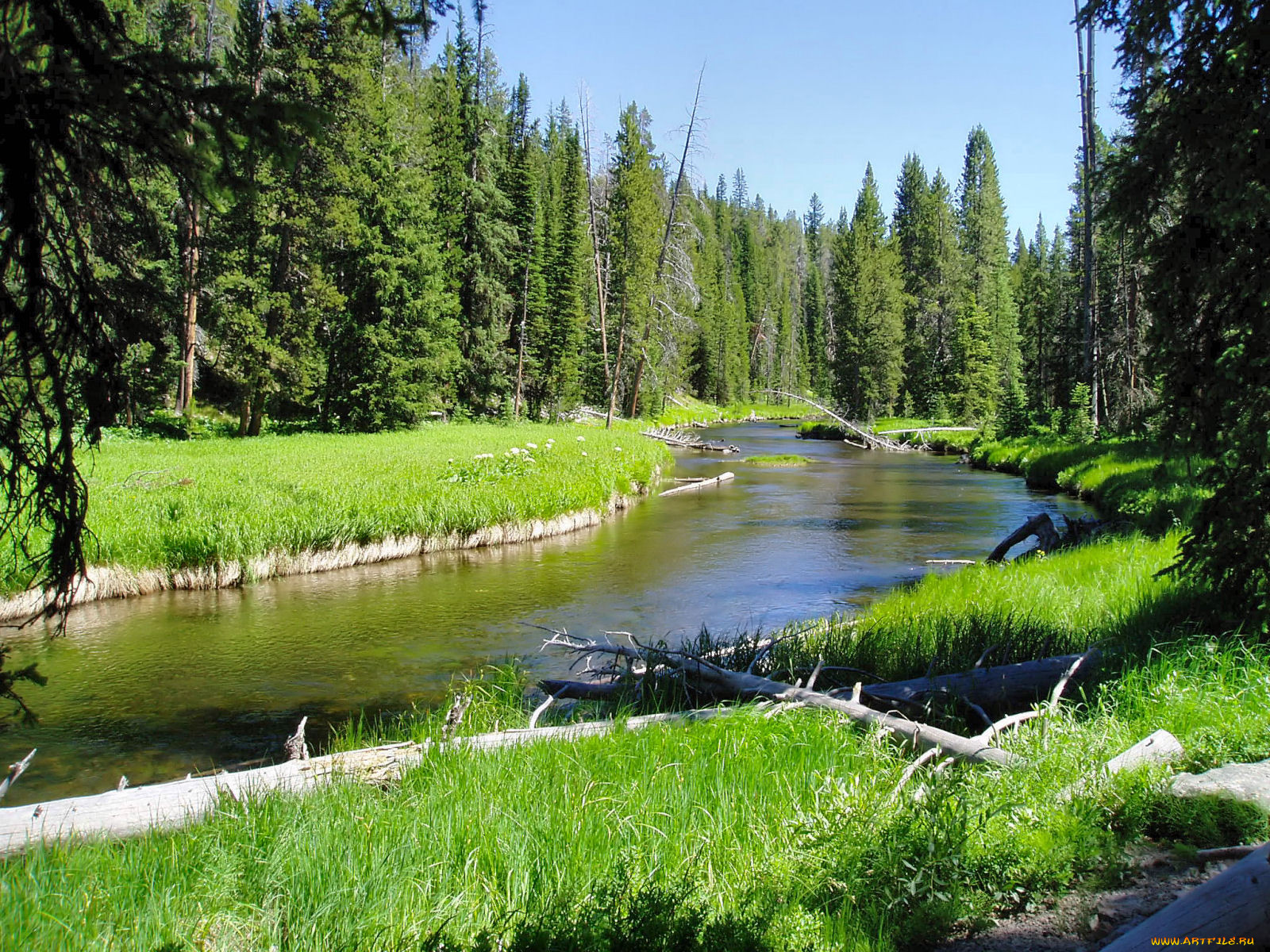 , , , , yellowstone